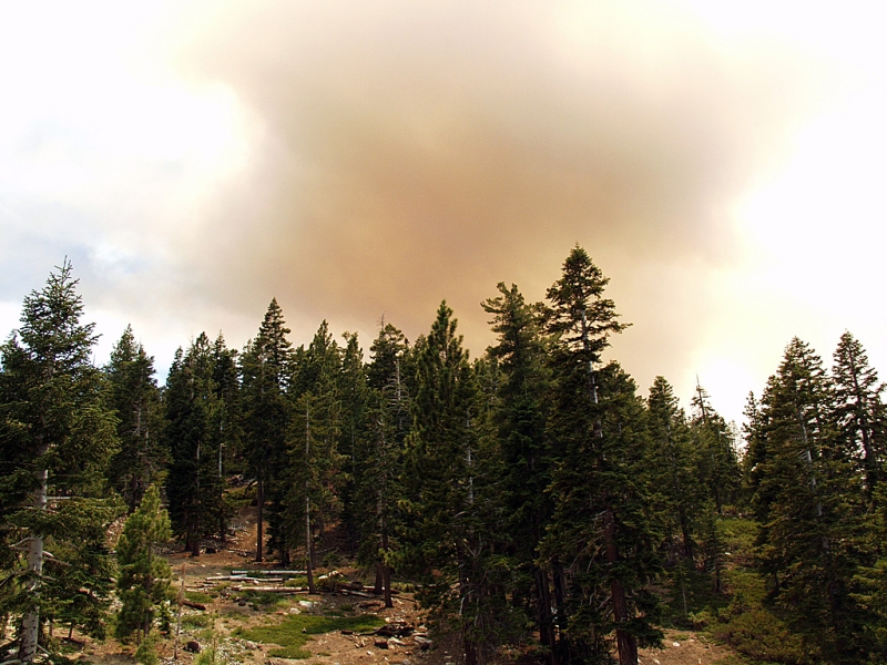 Angora Fire