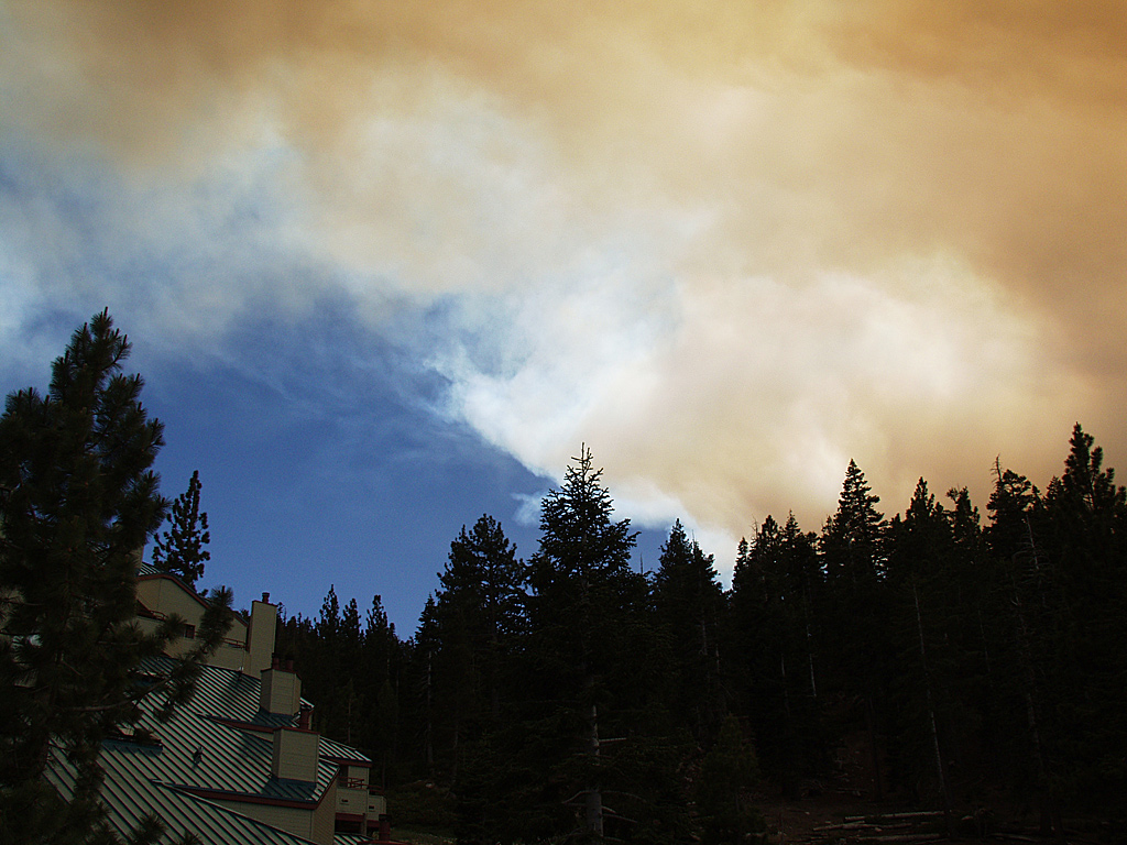 Angora Fire