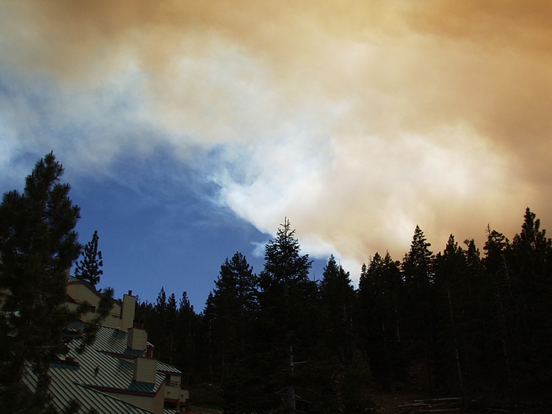 Angora Fire