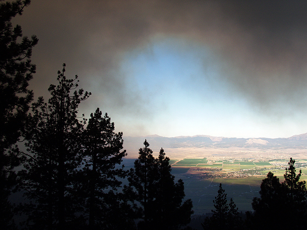 Angora Fire