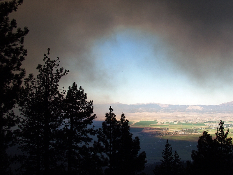 Angora Fire