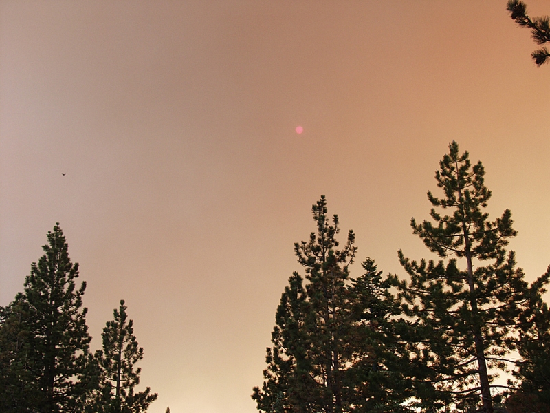 Angora Fire