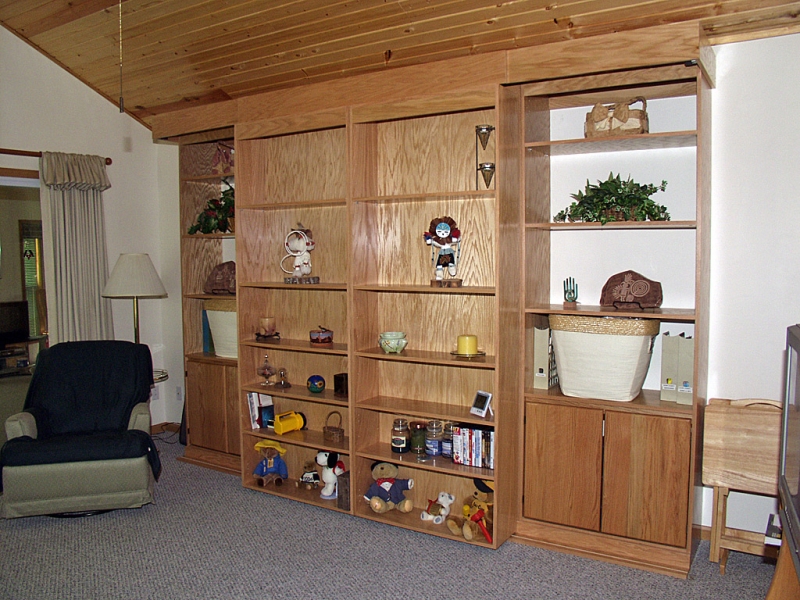 Murphy  Bookcase Bed