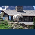 Logan Pass Visitor Center