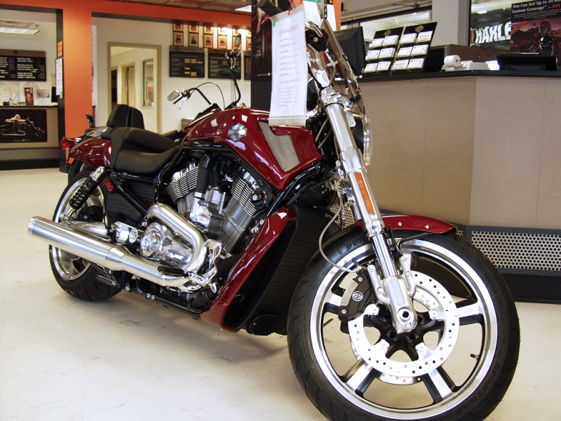 Harley V-Rod Muscle