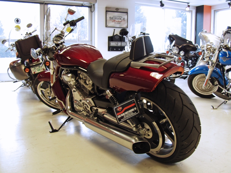Harley V-Rod Muscle