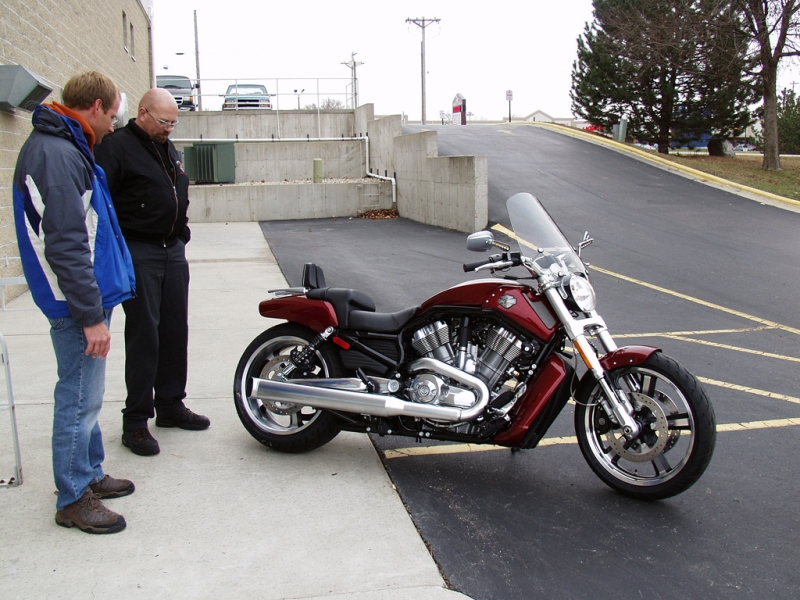 Harley V-Rod Muscle