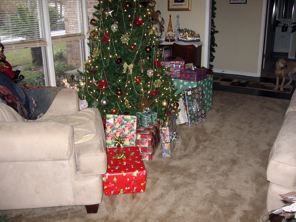Christmas 2009