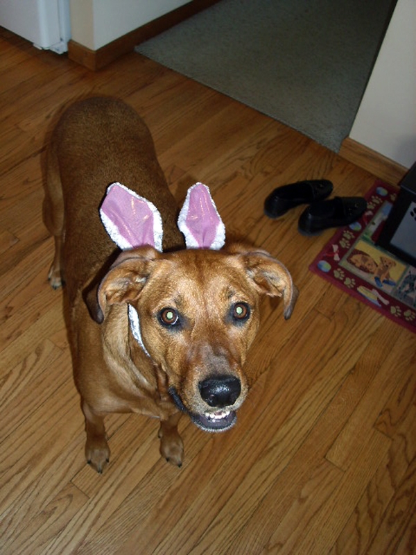 Easter - 2010