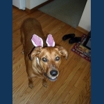 Easter - 2010