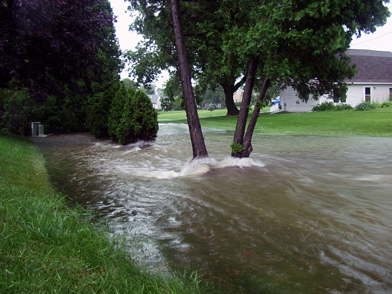 Pilgrim Road River