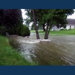 Pilgrim Road River