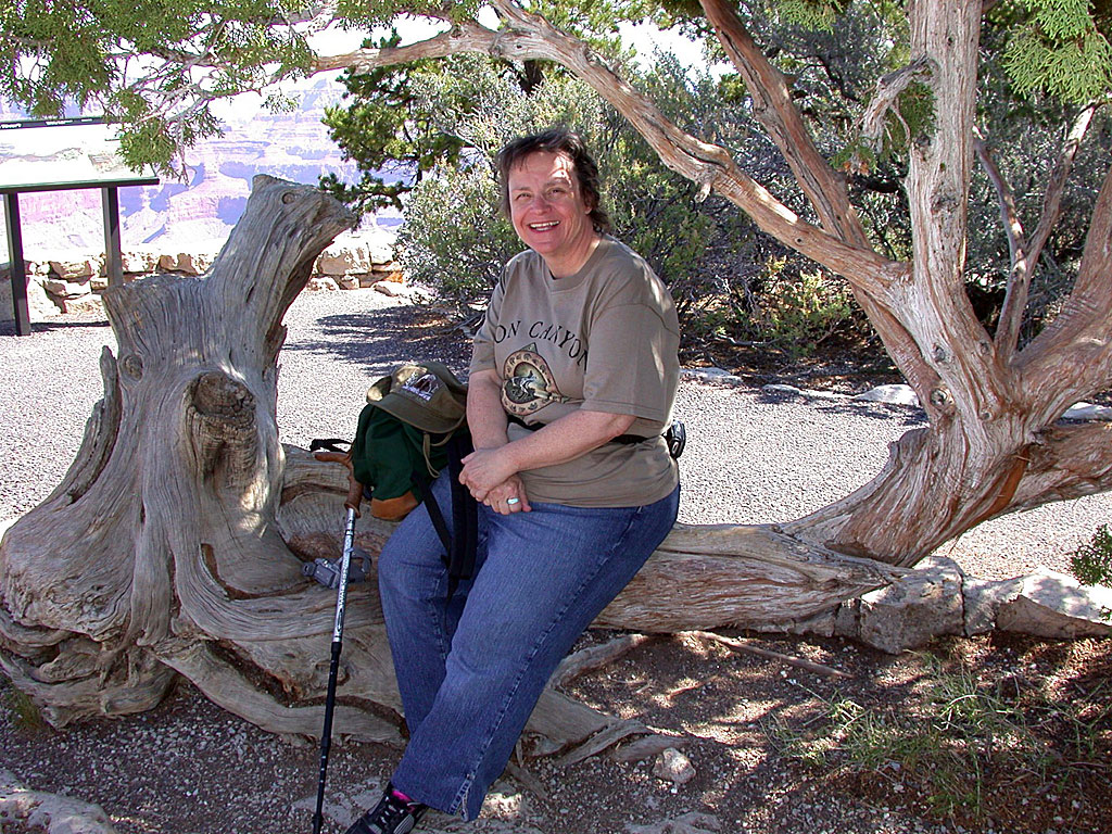 2004