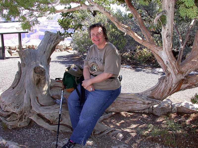 2004