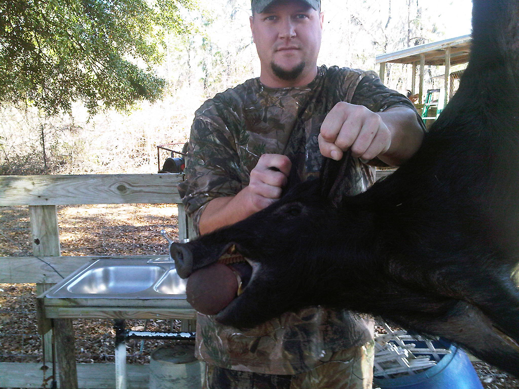 Wild Boar - 1.30.2011