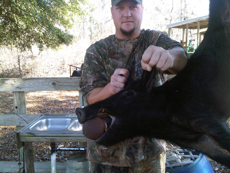 Wild Boar - 1.30.2011