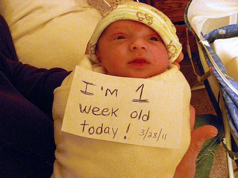 1 Week Old