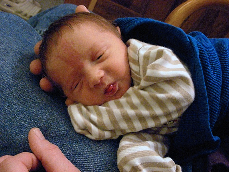 Asleep on Dad's Lap