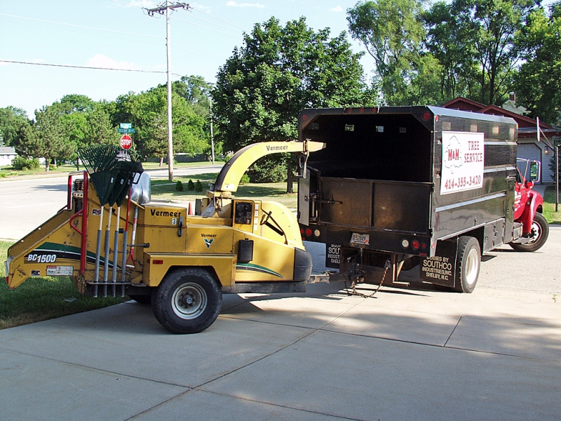 Tree Obliteration M & M Tree Service Check Their Web Site