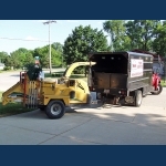Tree Obliteration M & M Tree Service Check Their Web Site