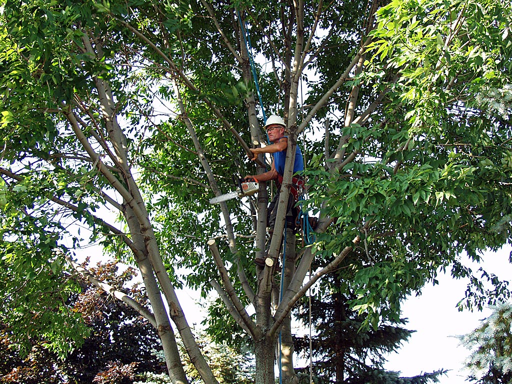 A Rope Scientist At Work