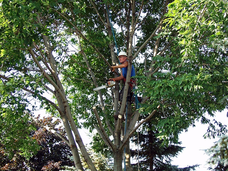 A Rope Scientist At Work