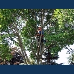 A Rope Scientist At Work
