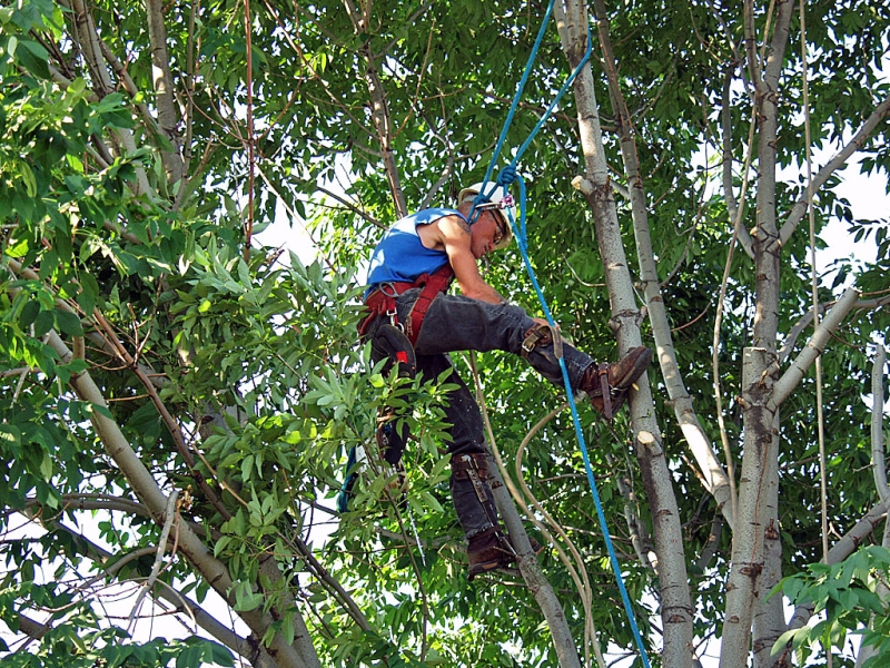 Man At Work