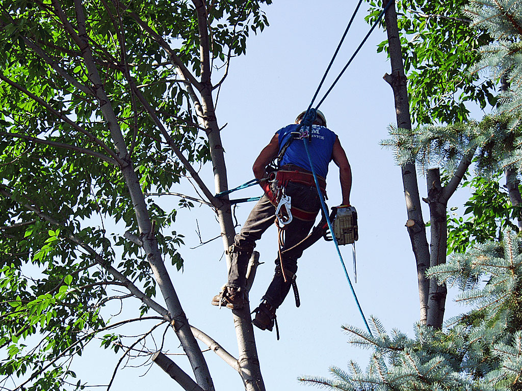 An Aerial Stunt Man