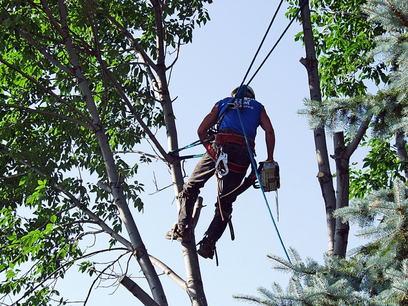 An Aerial Stunt Man