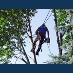 An Aerial Stunt Man