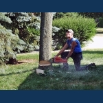 Notching The Tree Trunk