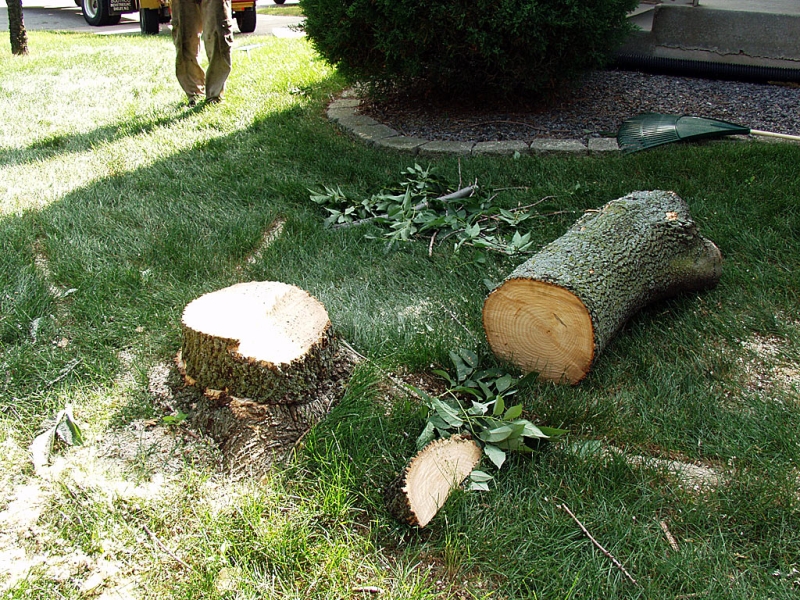 Trunk Pieces