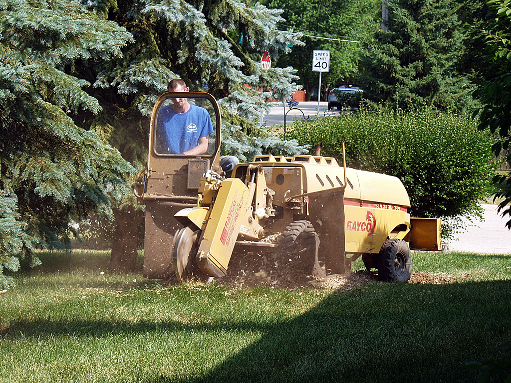 Stump Grinding