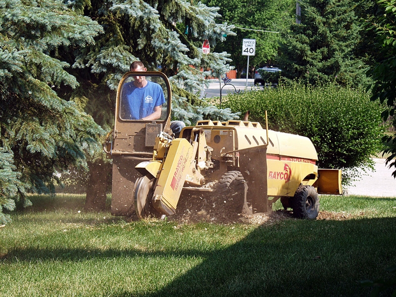 Stump Grinding