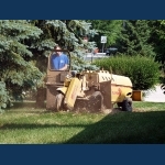 Stump Grinding