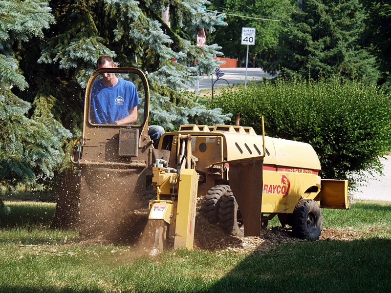 Stump Grinding