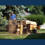 Stump Grinding