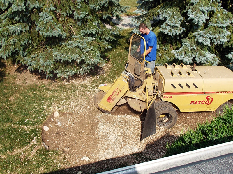 Stump Grinding