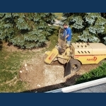 Stump Grinding