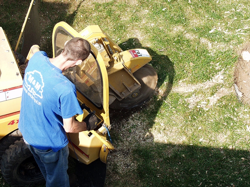 Stump Grinding