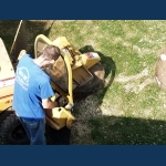 Stump Grinding