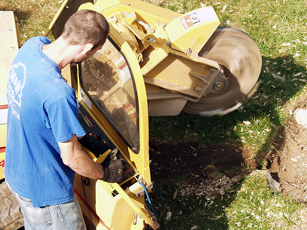 Stump Grinding