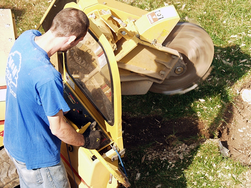 Stump Grinding