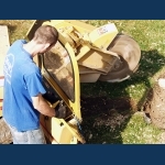 Stump Grinding