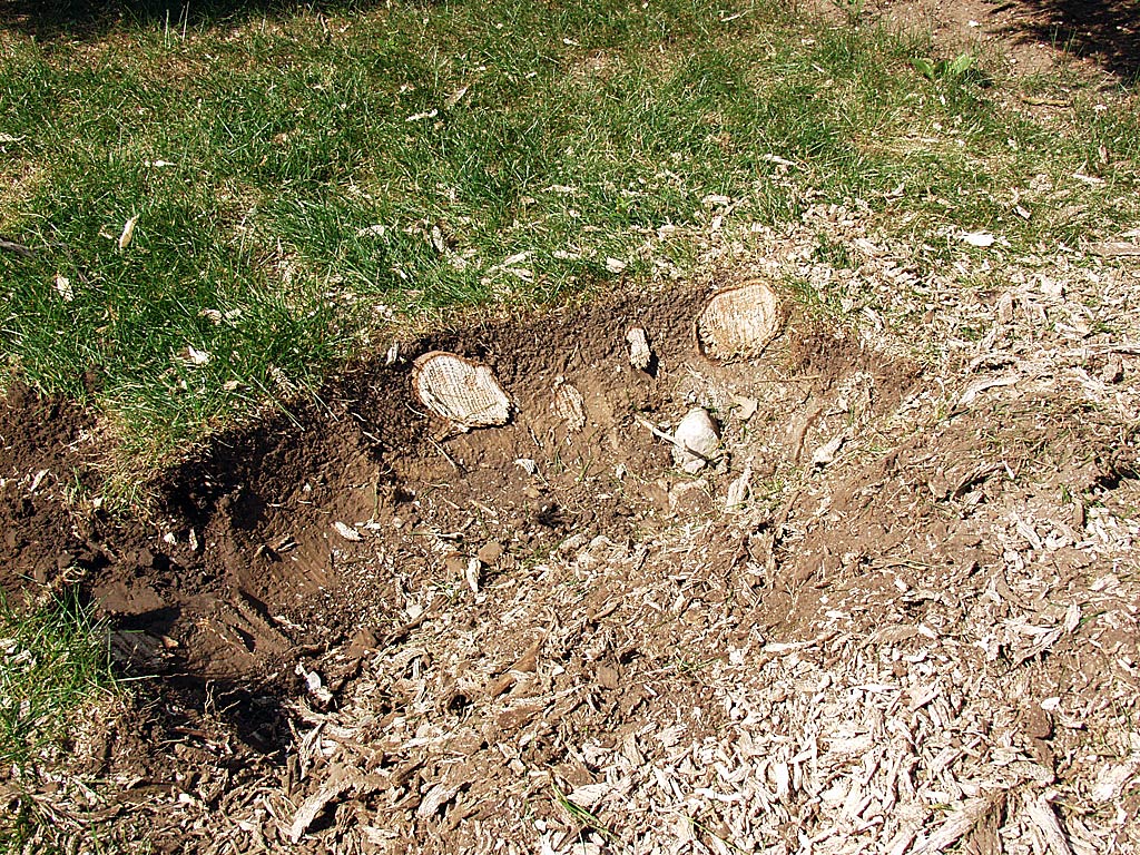 Stump Grinding