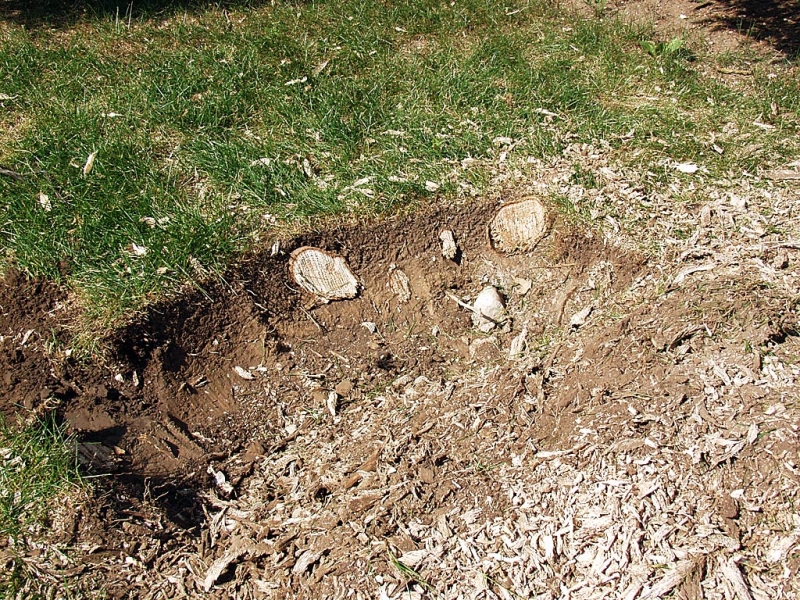 Stump Grinding