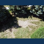 Stump Grinding