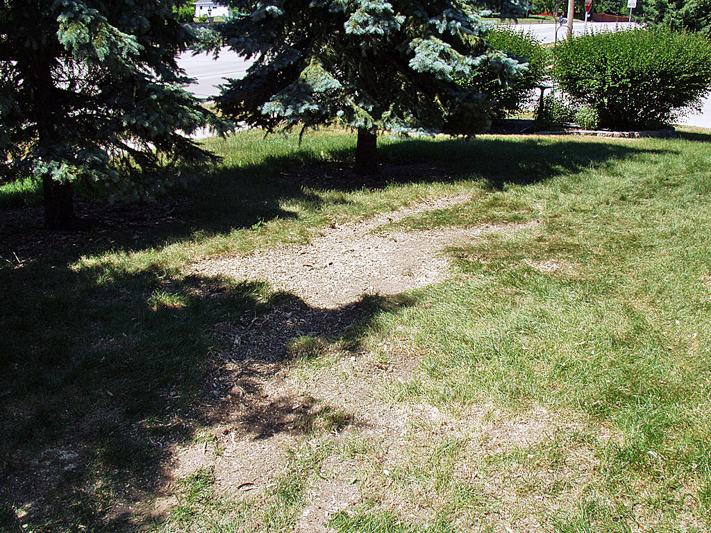 Stump Grinding