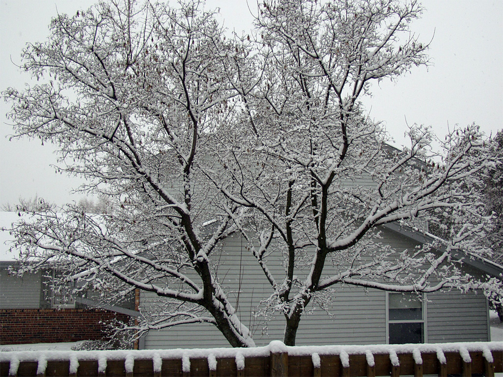 First Measurable Snow Fall of the Winter 12-18-2012